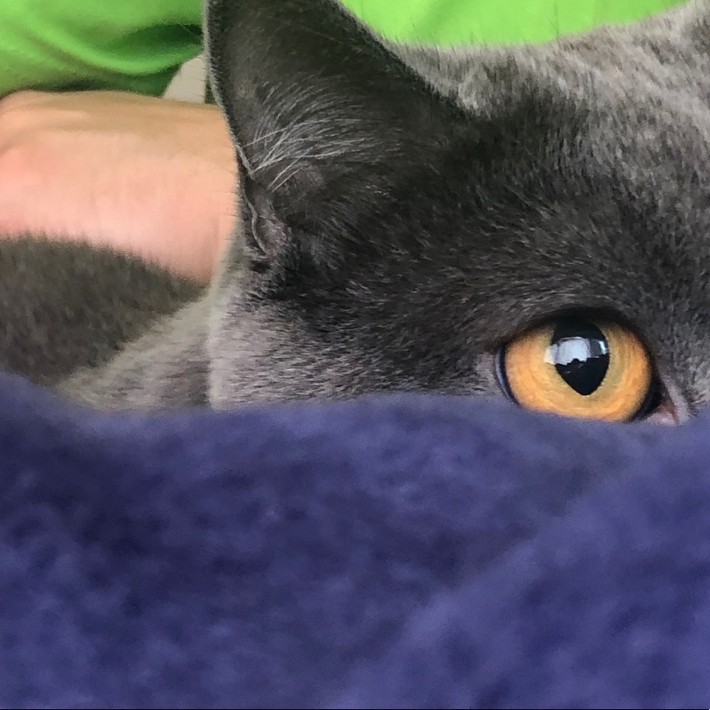 Meet your Posher, Shura